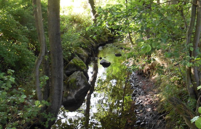 Apartment in Medebach Near Ski Lift - Foto 22