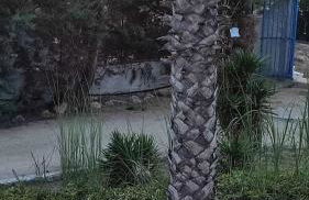 Villa Oasi dune e mare - Foto 36