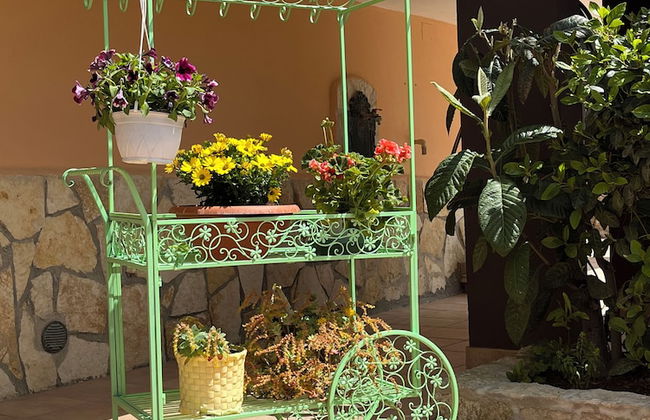 AgriBio Villa Ribes - Foto 45