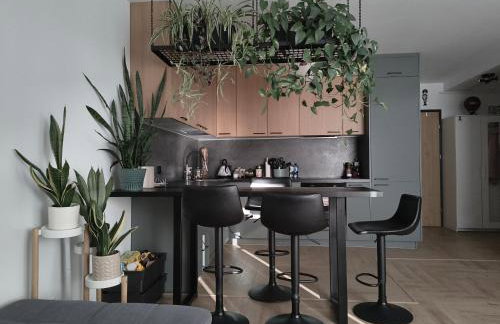 Apartament Rutkiewicz - Foto 20