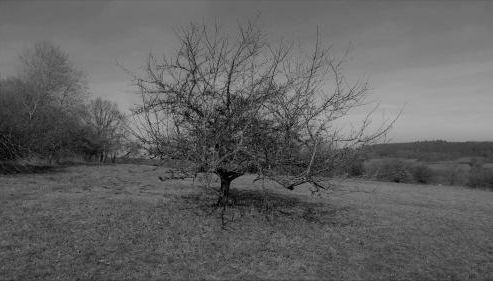 Fewo Greifenstein - Foto 2