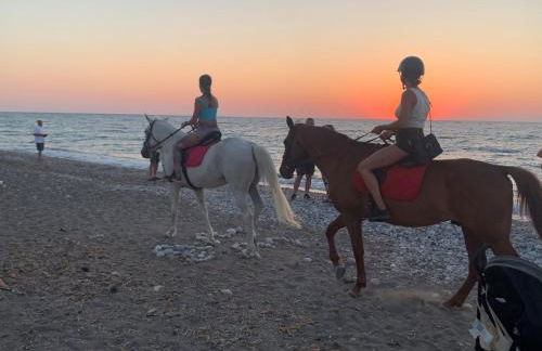 Maison Caroual Erquy 500m de la PLAGE - Foto 25
