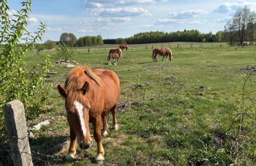 dla mnie się podoba - Foto 36