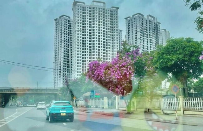 Chill Home - Chung Cư Tecco Elite City - Foto 9