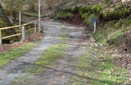 Waldhaus Agnes - Foto 34