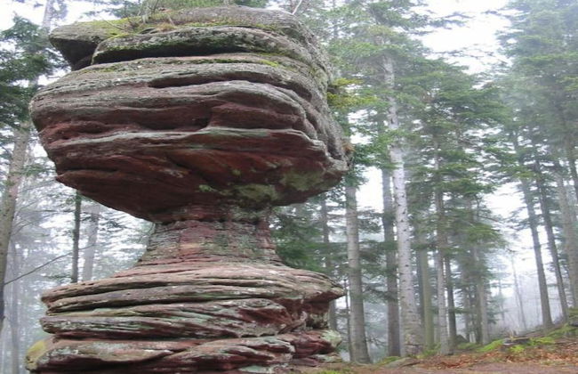 Unusual Hideaway in Lorraine - Photo 26