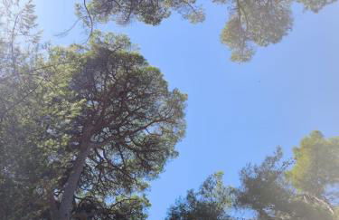 Rare - appartement avec jardin à 350m de la plage et du port - Foto 6