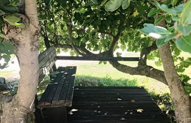 Agriturismo I Due Mondi - Foto 38