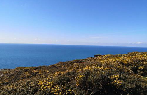 Brook Barn at Bolberry Court - Foto 19