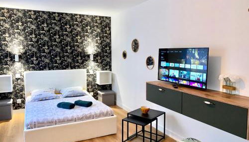 Superbe Appt avec cour et parking gratuit à 5min de la cité médiévale - Foto 2