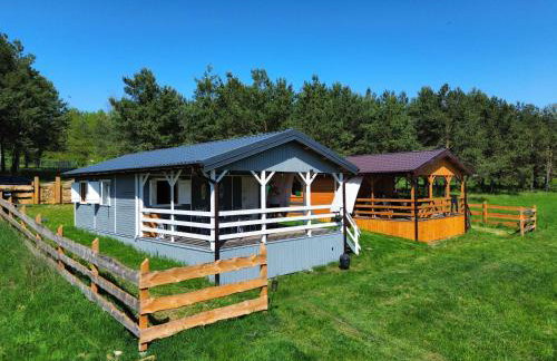 Kryszynówka nad Jeziorakiem - Foto 26