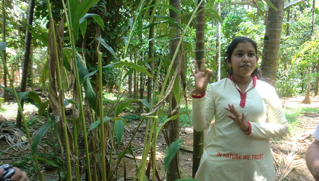 Sahakari Spice Farm - Private Tour - Photo 5