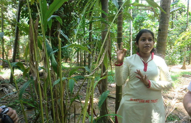 Sahakari Spice Farm - Private Tour - Photo 5