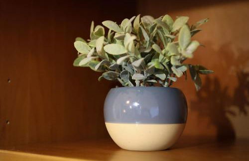 Azores Surf Center House - Photo 43