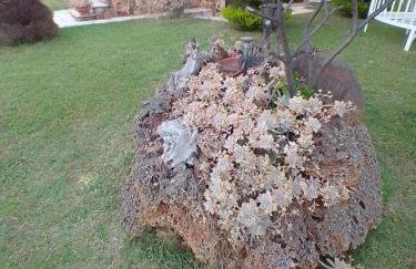 Thodis villa's - Foto 20