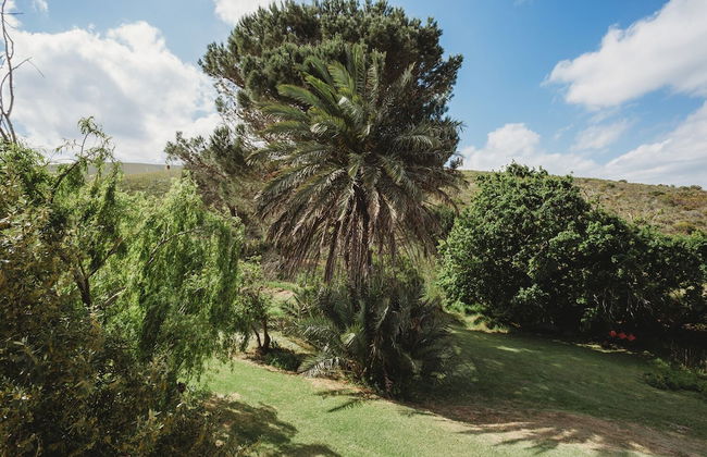 Country Cottage in the Overberg - Foto 22