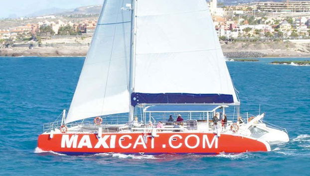 Get the best views of the coast of Tenerife