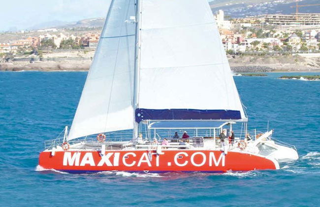 South Tenerife Cruise - Photo 4