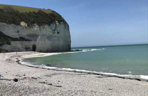 Pleine Mer - Foto 28