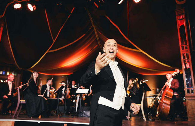 Concert de Strauss avec dîner dans le Prater - Photo 12