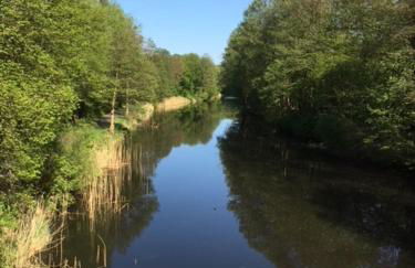 Ferienappartement am See III - Foto 18