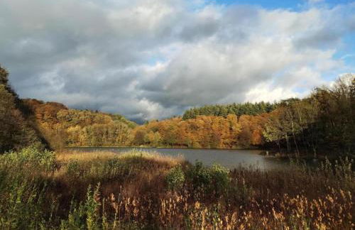 Rommersheim Forest Retreat - Foto 61