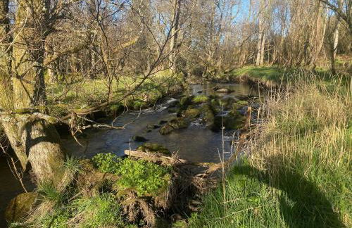 Kirkton Cottage whole house in Cairnie Aberdeenshire - Photo 26