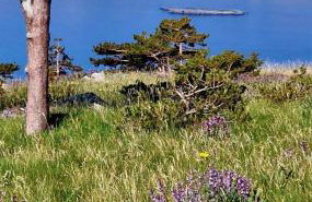 Apartment4you - Foto 55