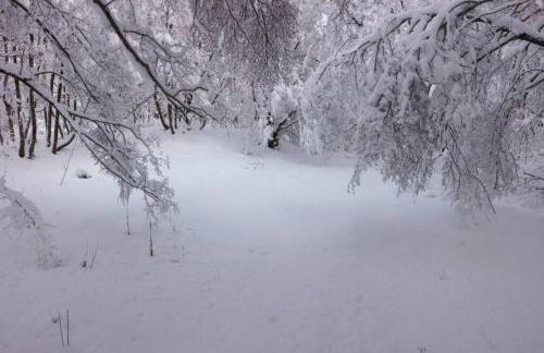 Rifugio del Gran Sasso - Foto 43