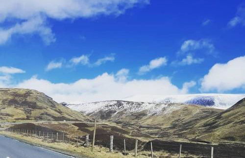 Pinewood Cottage - Quiet and peaceful Blairgowrie - Photo 15