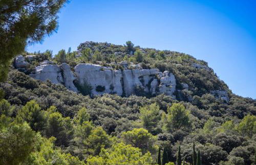 Le Nid des Alpilles - 3 to 4 beds - Air Conditioning - WiFi - Foto 16