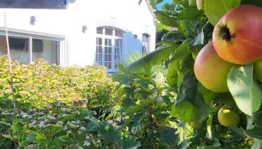 La petite maison blanche - Foto 3
