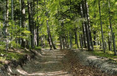 MICHAŁÓWKA - Domek w Górach przy Lesie - Energylandia - Foto 45