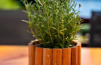 Kwatery u Zdzicha - Foto 53