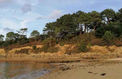 LES HAUTS VENTS - Foto 55