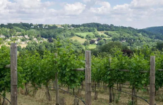 Railway Apartments - Photo 49