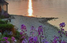 Bayview #1 - Foto 38