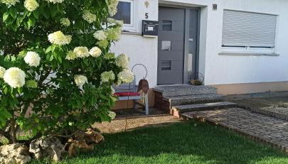 Alb-Biosphäre-Ferienwohnung - Foto 3, Garden