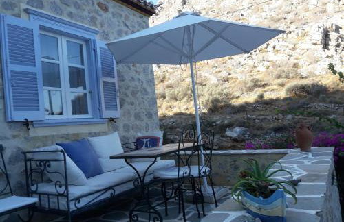 Hydra Erato - Foto 49