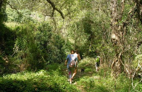 Elia Studios - Photo 55