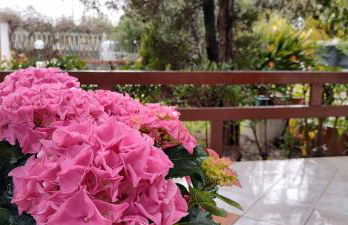 Villa Teresa - Foto 15