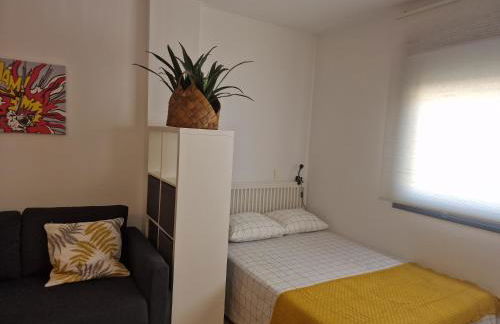 PACIFICO 18 - Photo 36