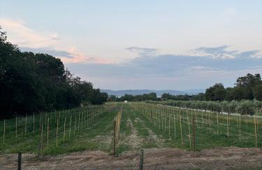 Alloggio Turistico Trasimeno II Castiglione Del Lago - Foto 42