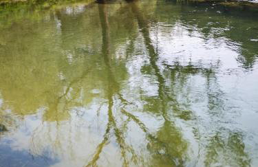 Riverside house with pool jacuzzi and sauna in Croatia - Foto 24