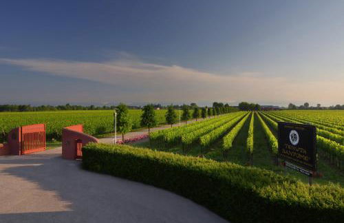 Tenuta Santomè - Foto 39