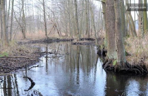 Landbahnhof Buschhof 2 OG mit Gartensauna - Foto 55
