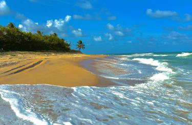 Casa da Gameleira - Foto 48