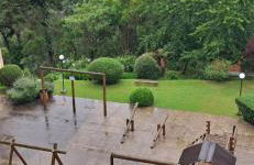 Canto araucarias - Foto 19