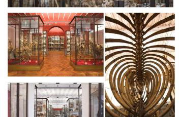 Le Cozy Nest - Foto 49