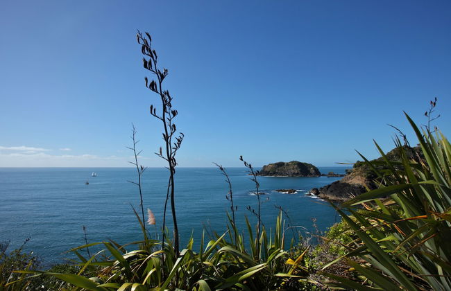 Pacific Rendezvous - Foto 44